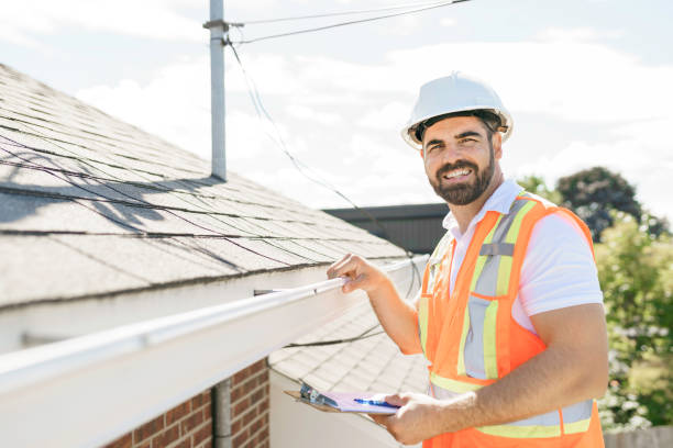 Best Local Roofing Companies  in Pine Island, TX