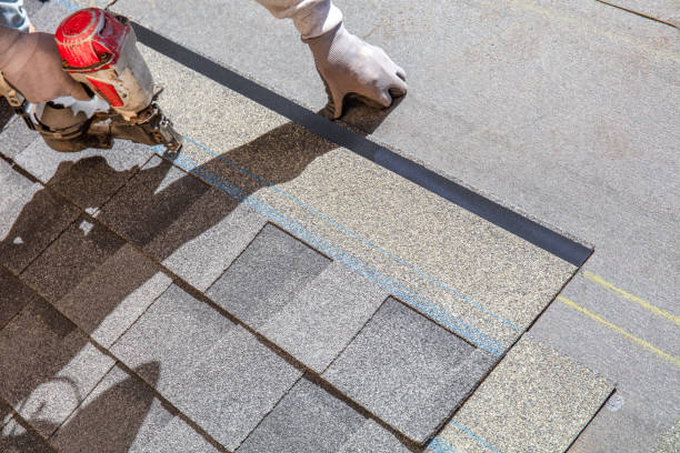Best Shingle Roofing Installation  in Pine Island, TX